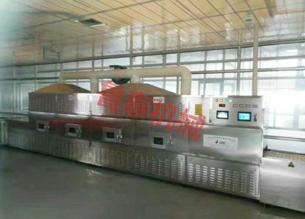 microwave drying sterilization equipment